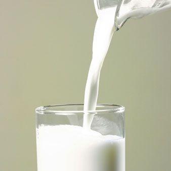 Pengantar susu