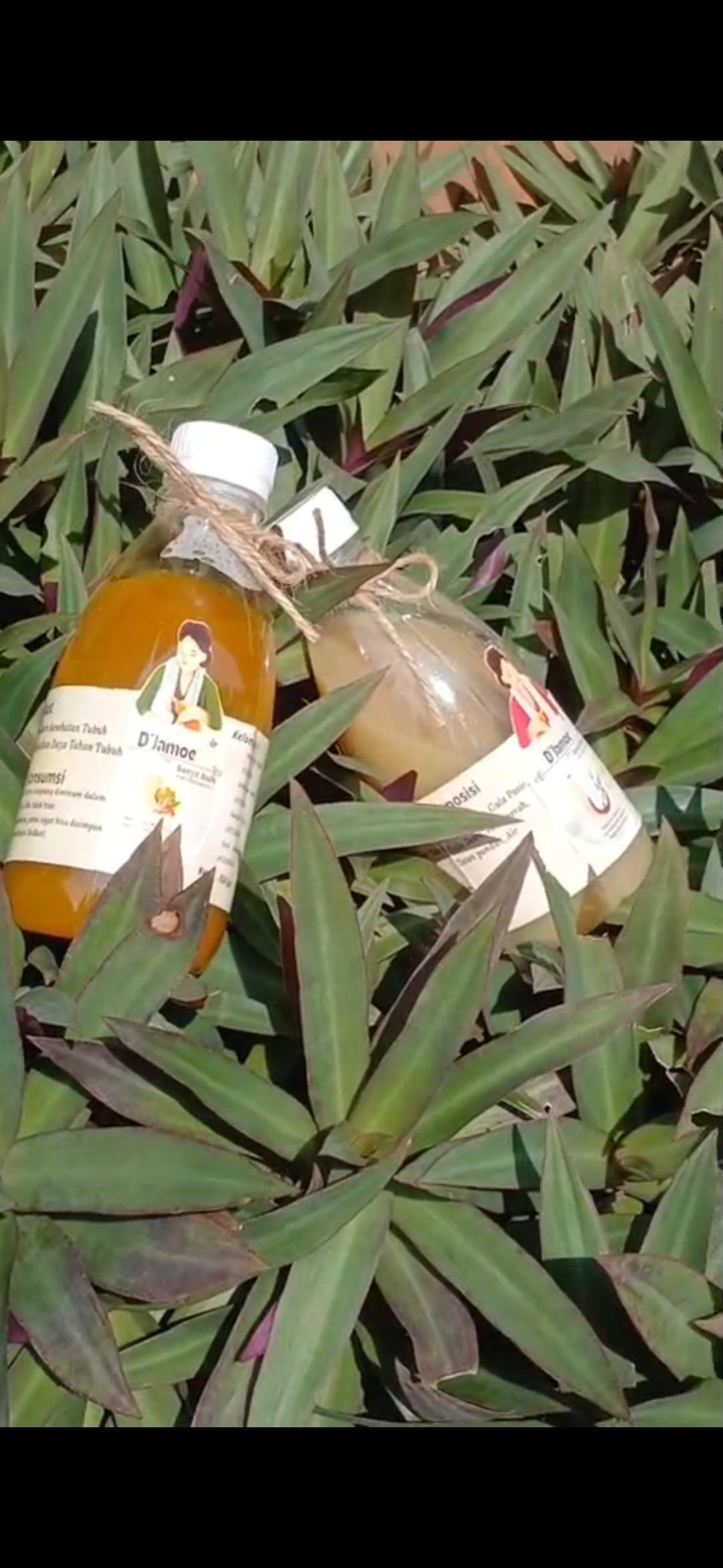 Produk Jamu Beras Kencur